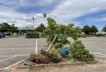 Zeugen gesucht: Wer hat den Lkw mit Anhänger gesehen?