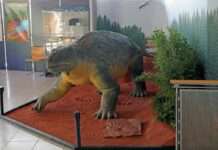 Im Paradies der Saurier – Sonderausstellung des Urweltmuseums Geoskop auf Burg Lichtenberg