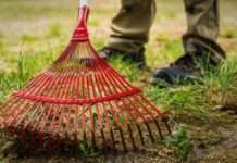 Grüne Jobs, aber rote Zahlen auf dem Lohnkonto