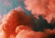 Carmina Burana erklingt auf dem „Betzenberg“ – Konzert des Klassischen Chors der RPTU