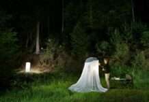 Gefangen im Licht – Exkursion zu nachtaktiven Faltern