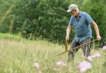 Richtiges Umgehen mit der Sense