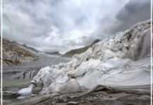 Wir müssen handeln – aber wie?