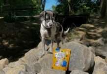 10 Cent pro Packung für den Tierschutz – Tierschutzorganisation TASSO e.V. kooperiert mit EDEKA