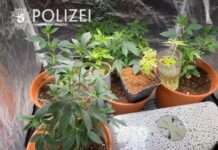 Drogen sichergestellt – Strafverfahren wegen Verstößen gegen das Betäubungsmittelgesetz