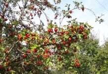 Mehr als nur ein gelbes Band