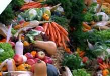 Genuss und Nachhaltigkeit