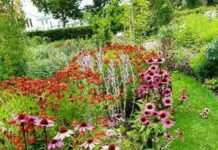 Artenvielfalt im eigenen Zuhause fördern