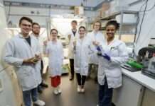 Grünalge baut Schadstoffe ab – Schon früh im Studium bei internationalem Wettbewerb Praxisluft schnuppern