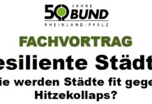 Vortrag Resiliente Städte am Freitag im „Krümmer“ um 18 Uhr 30