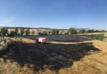 Mehrere Flächenbrände im Donnersbergkreis