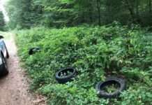 Wer hat die Autoreifen im Wald entsorgt?