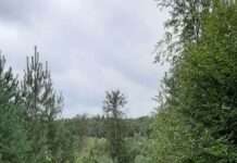 Kochen mit dem PWV Kaiserslautern