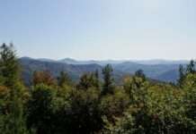 Pfälzerwald als Modellregion für nachhaltige Entwicklung