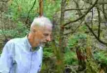 Eine exklusive Exkursion liefert Einblicke in ein Pfälzerwald-Biotop mit einzigartiger Fauna und Flora