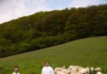 Kulinarische Spezialitäten bei Donnersberger Lammwochen – Lammfest findet nicht statt