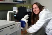 Studie: Ausfall von bestimmten Proteinen im Gehirn begünstigt zwanghaftes Verhalten