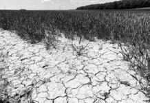 Letzte Chance, Klimawandel-Fotos anzuschauen