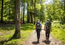 Wanderhalbmarathon in Johanniskreuz