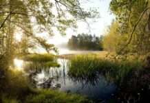 Deutsch-französische Wasgauer Gespräche am 06. Oktober in Bad Bergzabe