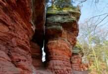 Deutsch-französische Freundschaftstour