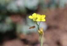 Unser Bild von der Natur – Familienführung im mpk