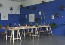 Digitaler Rundgang durch mpk-Ausstellung „Artists for Nature“