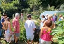 Zukunftsfähig und praxistauglich