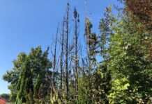 Fahrlässige Brandstiftung in der Galappmühler Straße