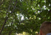 Abfahrt Mölschbach/Stüterhof – Radarkontrollen