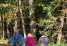 Der Pfälzerwald-Verein lädt zum Stammtisch ein.