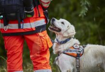 Welthundetag 2023 – wir feiern unsere Rettungshunde