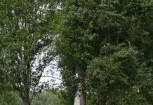 Antisemitische Vorfälle in Gurs