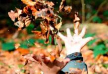 Draußen zu Hause – Ferienangebot für Kinder zwischen 10 und 14 Jahren beim Haus der Nachhaltigkeit