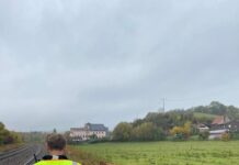 Bundespolizei treibt Kuh aus dem Gleis