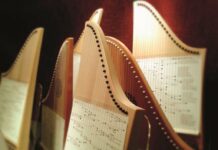 Erster Kurs für Veeh-Harfe startet im November