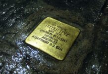 Kostenfreie Abendöffnung und Führungen