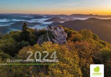 Ein Jahr voller Glücksmomente aus dem Pfälzerwald