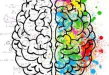 Vortrag „Metalheads: Was macht eigentlich das ganze Metall in unserem Kopf?“ am 30. November an der RPTU