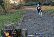Bündnis für bundesweites Böllerverbot wächst weiter