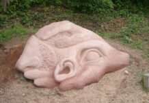 Walderlebnispfad am Hofgut Neumühle wird ertüchtigt