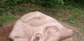 Walderlebnispfad am Hofgut Neumühle wird ertüchtigt