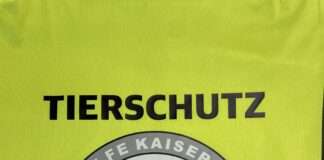 Taubenhilfe füttert im Stadtgebiet Tauben an