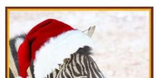 Zoo: Eintrittspreise selbst bestimmen