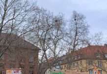 Nie wieder ist jetzt – Demonstration am 27.01.