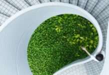 Architektur und Stoffkreislauf – Warum Recyceln so wertvoll ist: Vortrag an der RPTU am 25. Januar