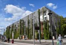 Gebäudebegrünung – mehr als nur ein grüner Hingucker