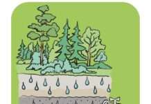 Abschluss des Projekts „MINTN-Region Biosphärenreservat Pfälzerwald“