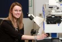 Krebserregende Wirkung von verarbeitetem rotem Fleisch im Fokus: