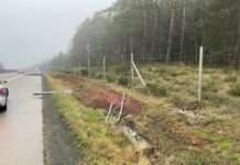 Eingeschlafen und einen Verkehrsunfall verursacht